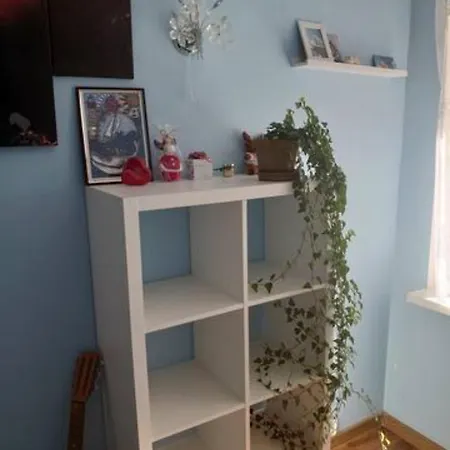 Kwatera prywatna Private In Shared Apartament